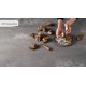 4033 Прочный Бетон / Rugged Concrete Caesarstone (Цезарь стоун)